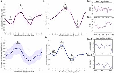 Neural substrates underlying rhythmic coupling of female reproductive and thermoregulatory circuits 